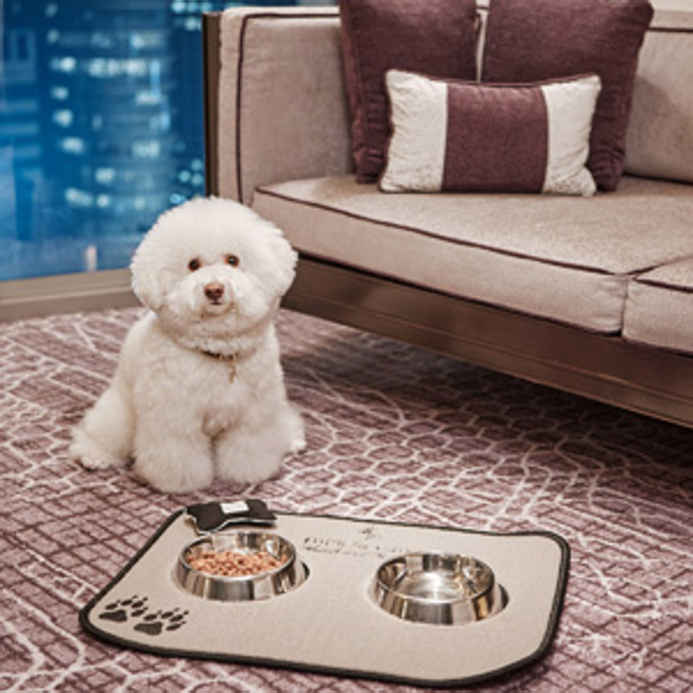 which hotels are pet friendly