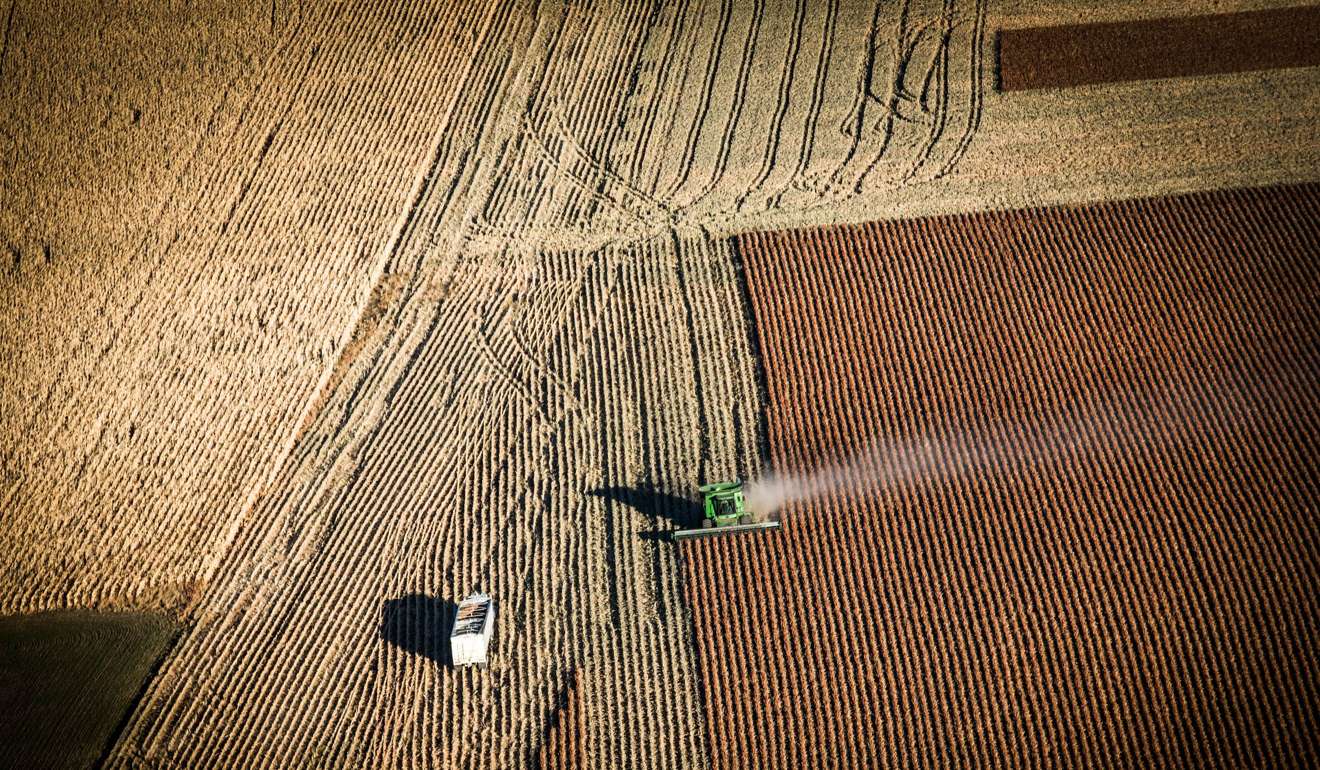 A farmer harvests crops near Presho, South Dakota, as rural Americans wonder if they are going to be able to hire enough workers to get their crops in despite an immigration crackdown. Photo: AFP
