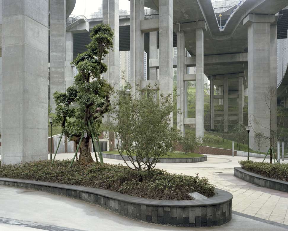 Forest 6 (2014), in Chongqing.