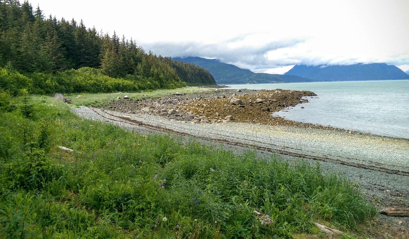 Chilkat State Park has forest hiking trails that lead to beaches. Haines