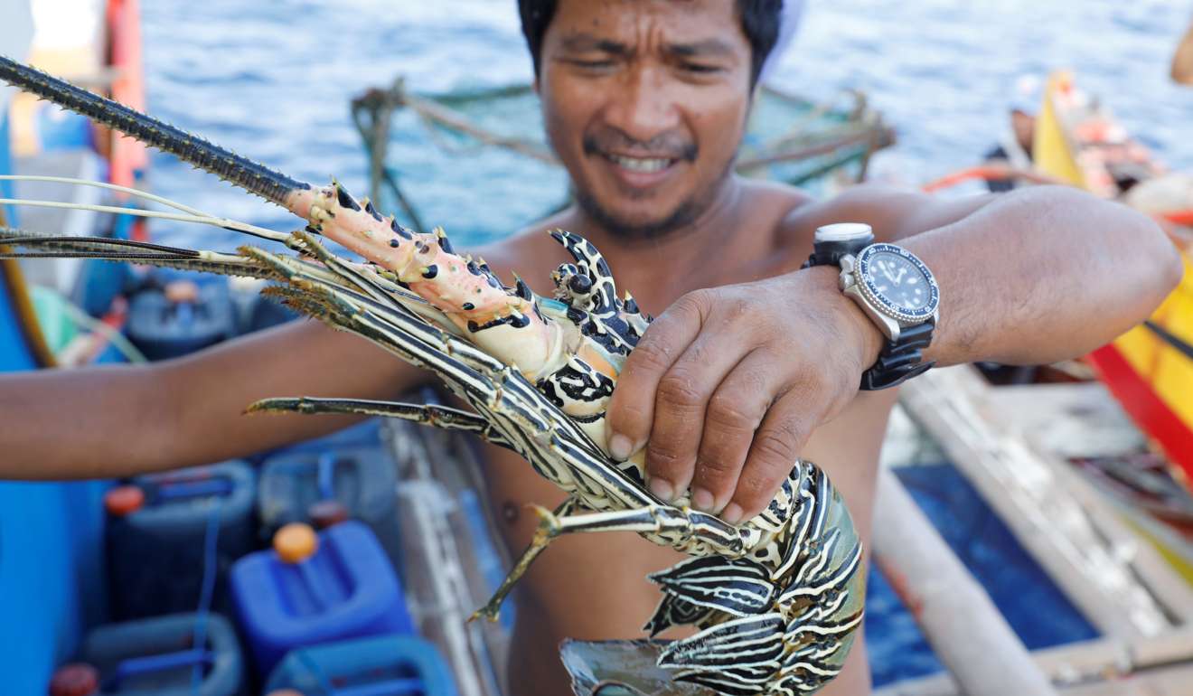 A Philippine fisherman smiles as he shows a freshly caught live lobster. Photo: Reuters