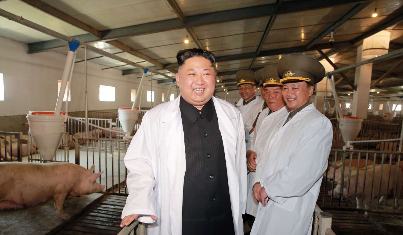North Korean Leader Kim Jong-un visiting Thaechon Pig Farm of the Air and Anti-Air Force of the Korean People's Army. Photo: Reuters
