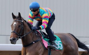 SUPER JOCKEY, ridden by Karis Teetan, won the barrier trial batch 1 over 1200Metres (All Weather Track) at Sha Tin on 29Nov16.