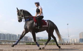 Cast of colourful characters all part of Hong Kong's Dubai desert raid ...