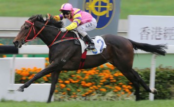 Brilliant Shine (Alvin Ng Ka-chun) shocks a Class Two field at Sha Tin in January at odds of 122-1, one of only two horses this season to win at cricket-score odds. Photos: Kenneth Chan