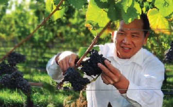 Lulu Island Winery owner John Chang was a successful electronics businessman in Taiwan before he immigrated to Canada in 1995. Photo: Lulu Island Winery Lulu Island Winery owner John Chang was a successful electronics businessman in Taiwan before he immigrated to Canada in 1995. Photo: Lulu Island Winery