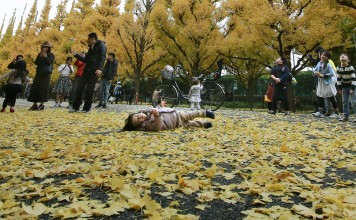 Quake in roughly same area where massive 2011 tremor struck