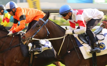 Karis Teetan rides Clever Spirit in a recent trial. Photos: Kenneth Chan