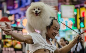 The winning shot from our #SoHongKong photo contest, by Aaron Anfinson @crop.circles The winning shot from our #SoHongKong photo contest, by Aaron Anfinson @crop.circles