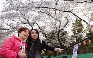 Chinese tourists pose for a photograph while visiting Tokyo's Ueno Park to see the cherry blossoms. (Kyodo) ==Kyodo
