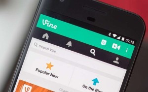 The closure of the Vine video uploading service on Thursday was a long time coming, according to its former users. Photo: Vine