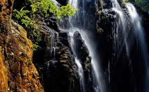 It’s great hiking weather, so why not take a tour of Hong Kong Island’s wilder side. With a drum ’n’ bass legend playing and street art murals to see, there are plenty of reasons to get out and about this week