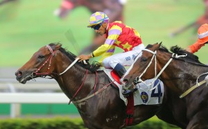 Race 9, Designs On Rome, ridden by Karis Teetan, won the Oriental Watch 55TH Anniversary Sha Tin Trophy(Hong Kong Group 2, 1600m) at Sha Tin on 23OCT16.