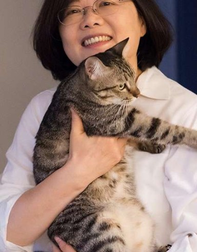 Wang Weixing also dredges up Tsai’s family history in article published by newspaper under Xinhua