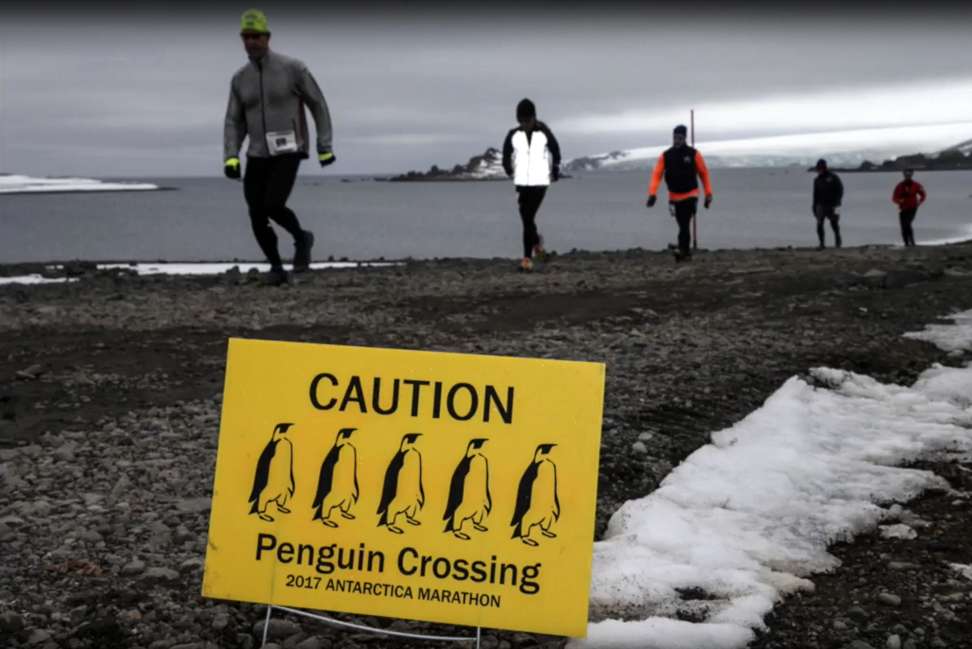 The Antarctica Marathon & Half-Marathon. Photo: Marathon Tours & Travel