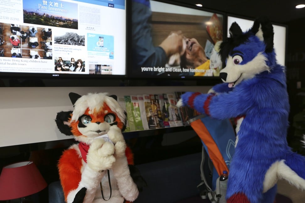 Inari (Cooro) on the left and Mega (Herman) in the SCMP office. Photo: Xiaomei Chen