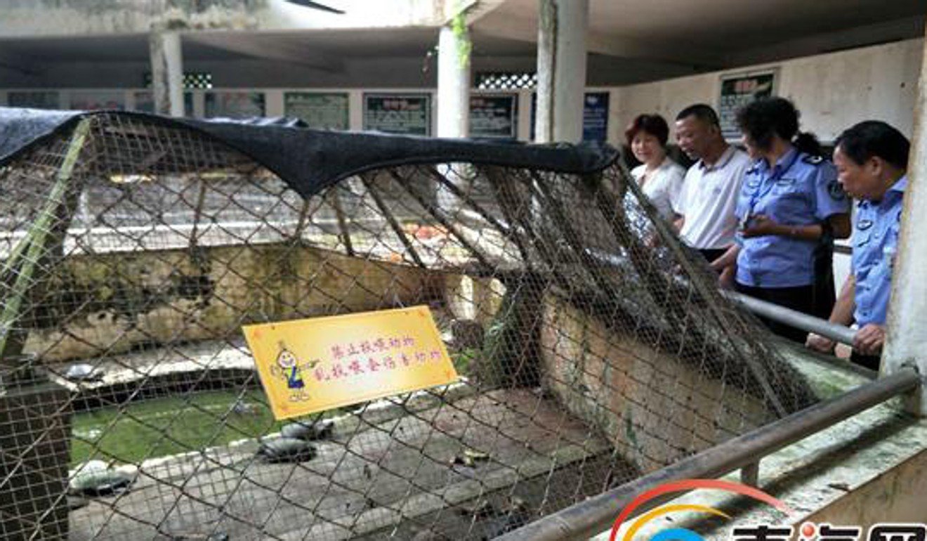 People check out the turtle enclosure. Photo: Handout