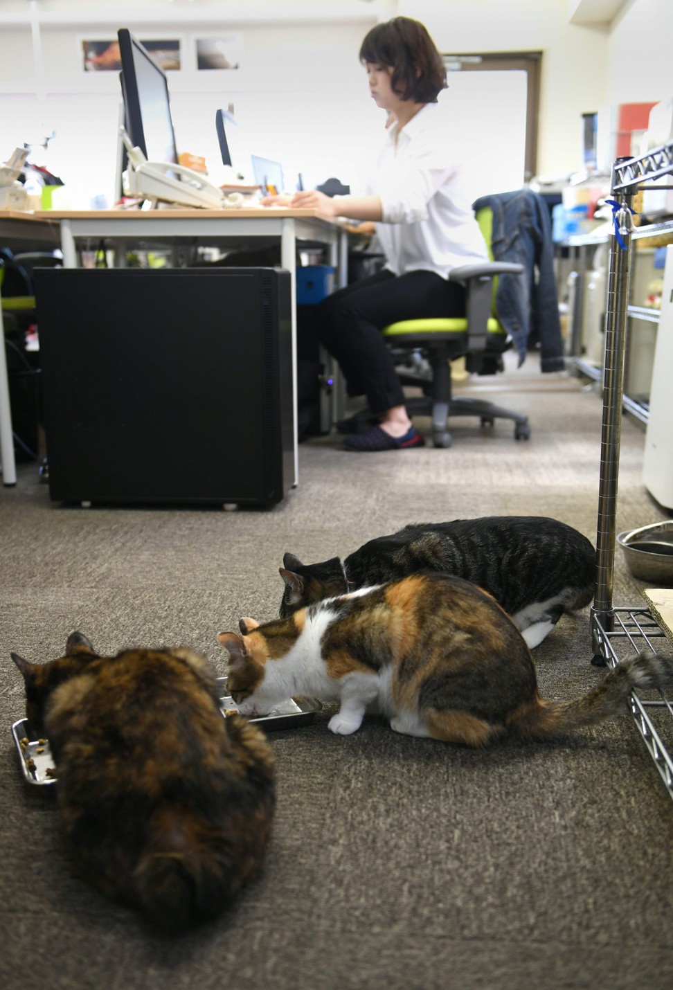 It’s time for lunch in this Tokyo office. Photo: AFP/AFPBB News/Yoko Akiyoshi