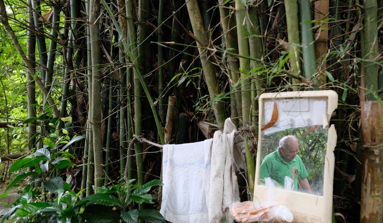 A shaving mirror in a stand of bamboo in Lung Fu Shan Morning Walkers’ Association at the Chinese herbal garden. Photo: James Wendlinger
