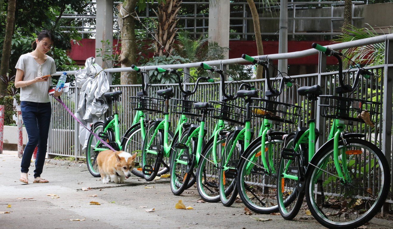 Gobee’s shared bikes parked at Mei Tin Road in Tai Wai. Photo: Felix Wong