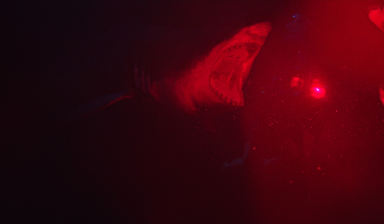 A still from 47 Meters Down.