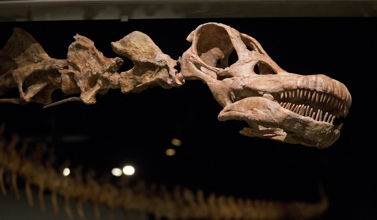 meet-the-new-heavyweight-champion-of-all-dinosaurs-patagotitan-mayorum
