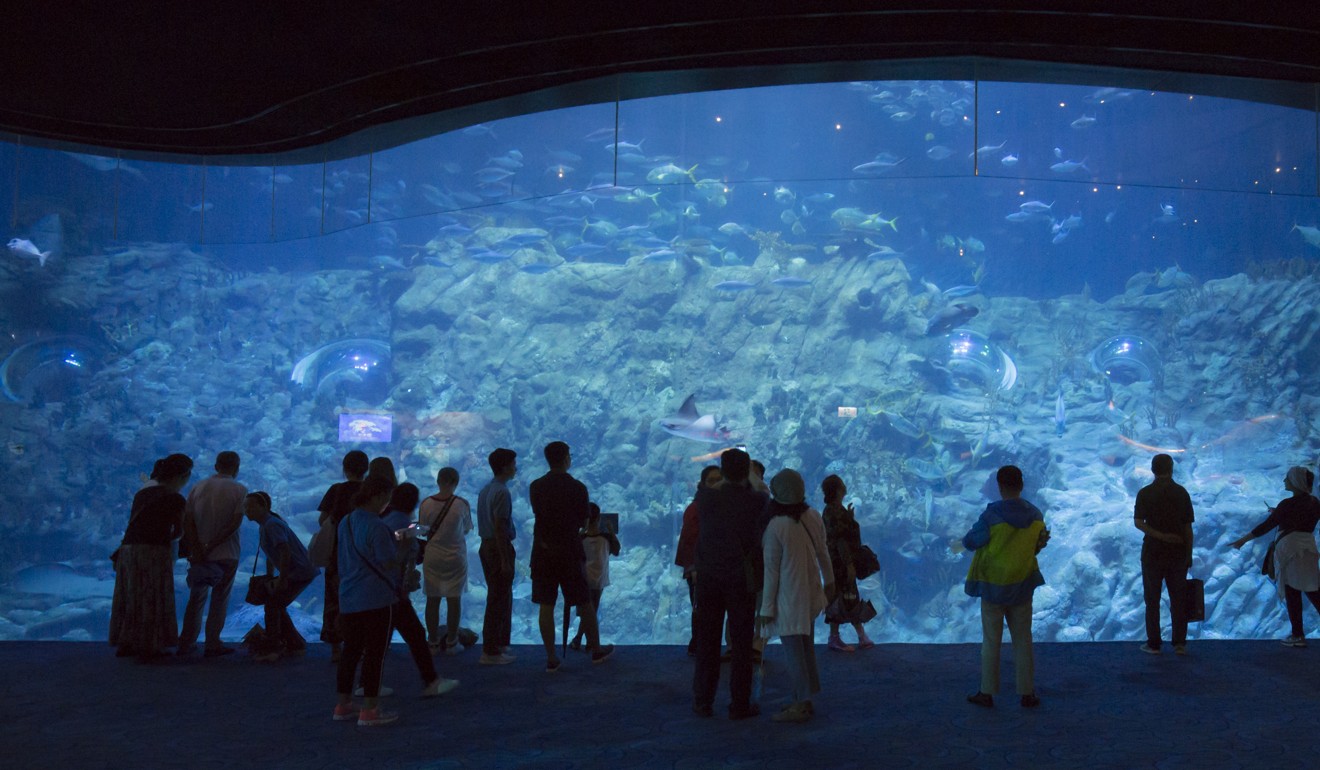 Ocean Park’s grand aquarium. Photo: May Tse