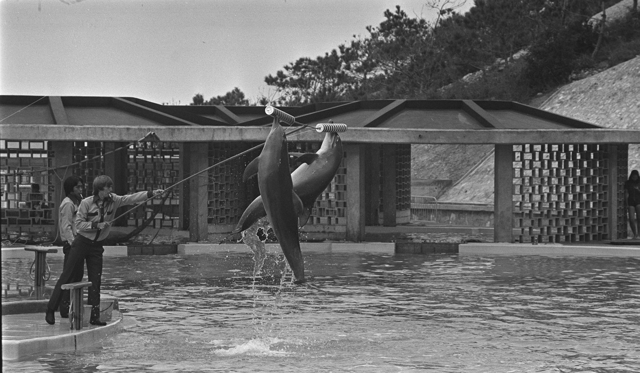 A dolphin performance at Ocean Park in 1977.
