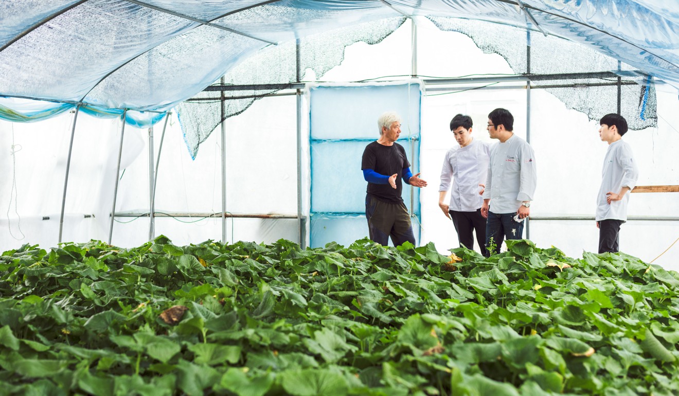 Ryu visits a wasabi farm in Korea.