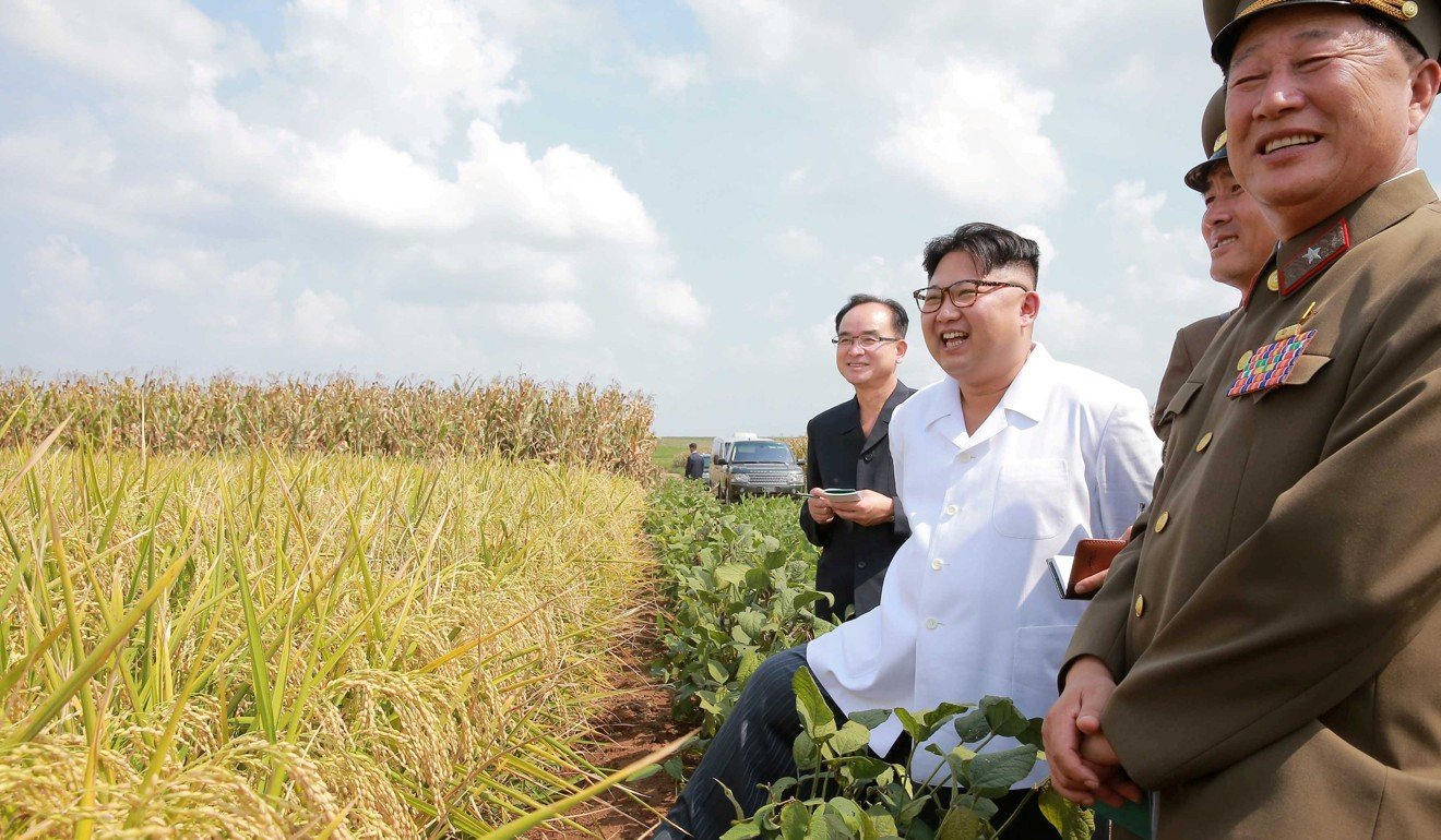 North Korean leader Kim Jong-un provides field guidance to Farm No 1116 under KPA Unit 810, in this photo released by North Korea's Korean Central News Agency in Pyongyang on in September 2016. Photo: KCNA via Reuters