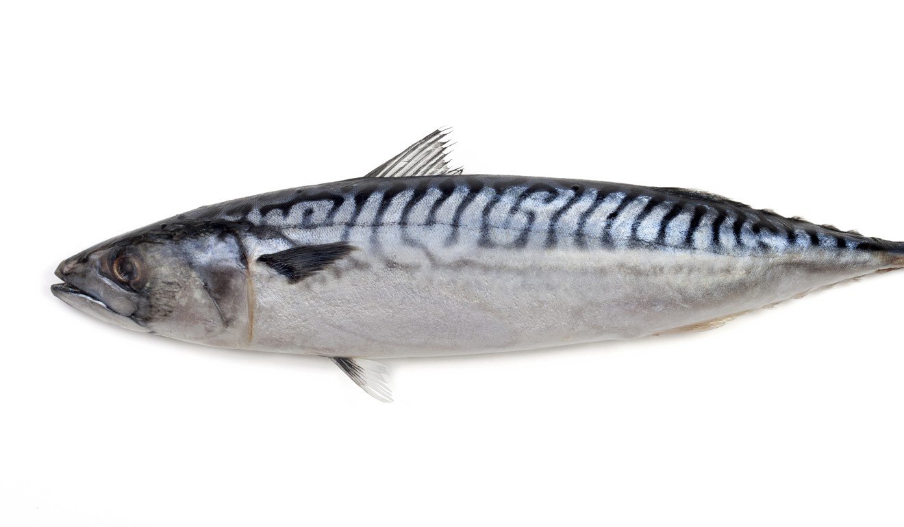 Mackerel and other oily fish contain omega-3 fatty acids. Photo: Shutterstock