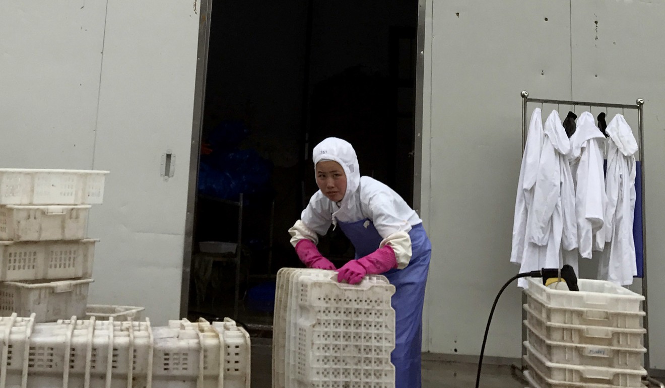 A worker stacks crates at Yanbian Shenghai Industry & Trade, which hires some North Koreans to process seafood. Photo: AP