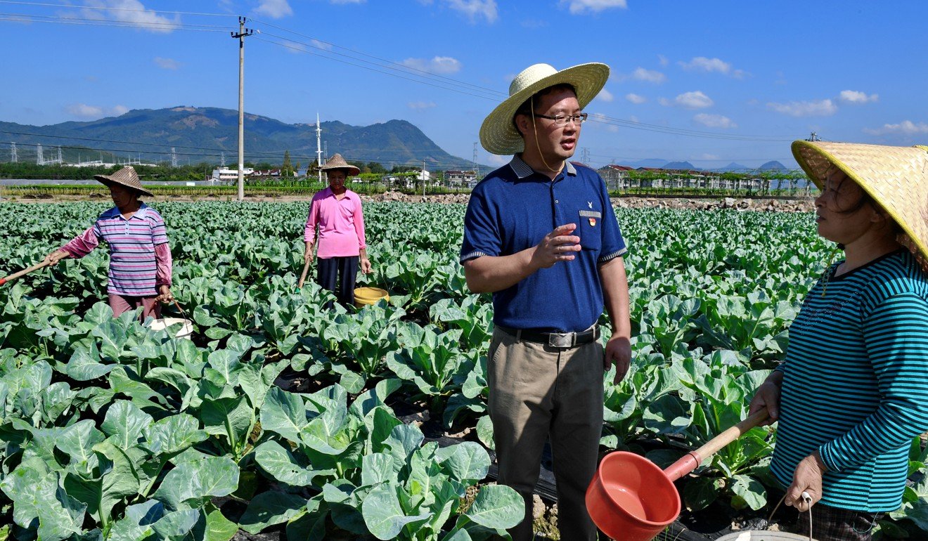 A vegetable farm in China, which has the third biggest croplands in the world. Photo: Xinhua