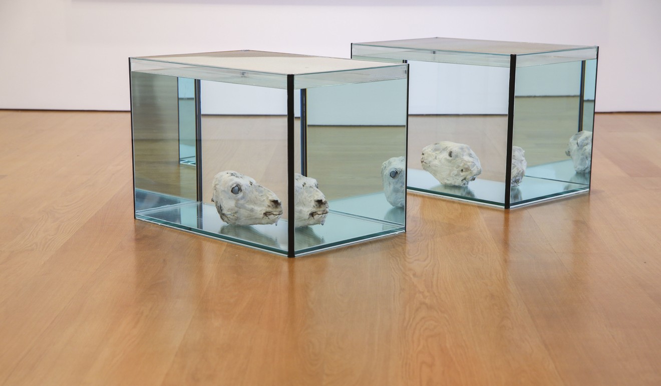Preserved animal skulls. Photo: K.Y. Cheng