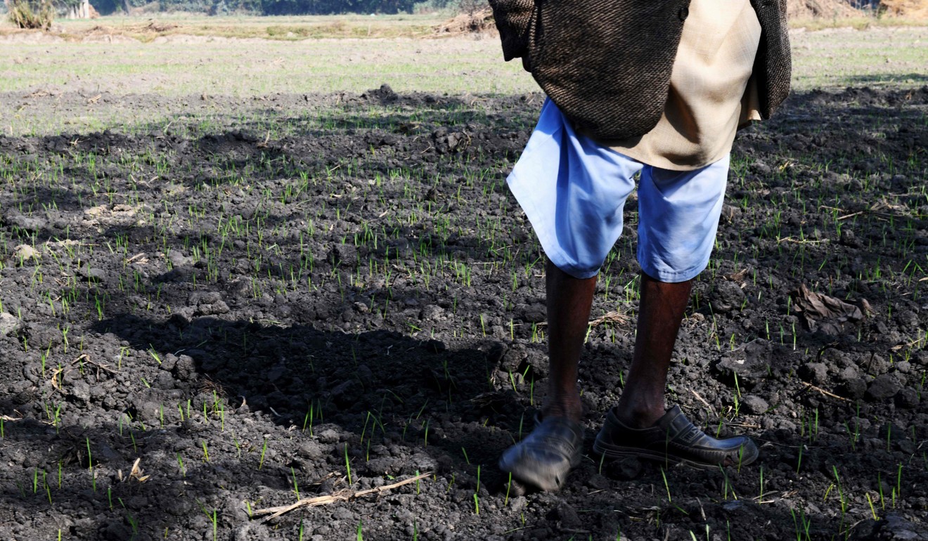 An Uncha Amipur villager stands on a field with coal particles mixed into the soil, near the National Thermal Power Corporation coal plant in Dadri, India. Photo: AFP