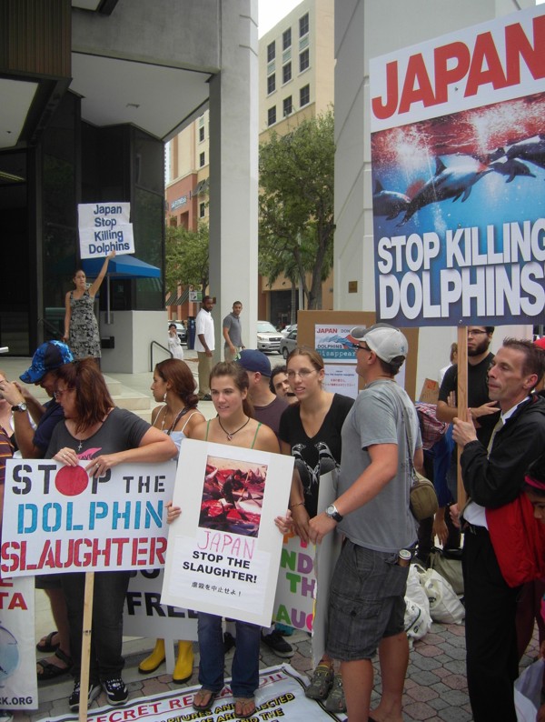 A protest against Japan’s dolphin hunts in Miami, Florida in 2010. Photo: AFP
