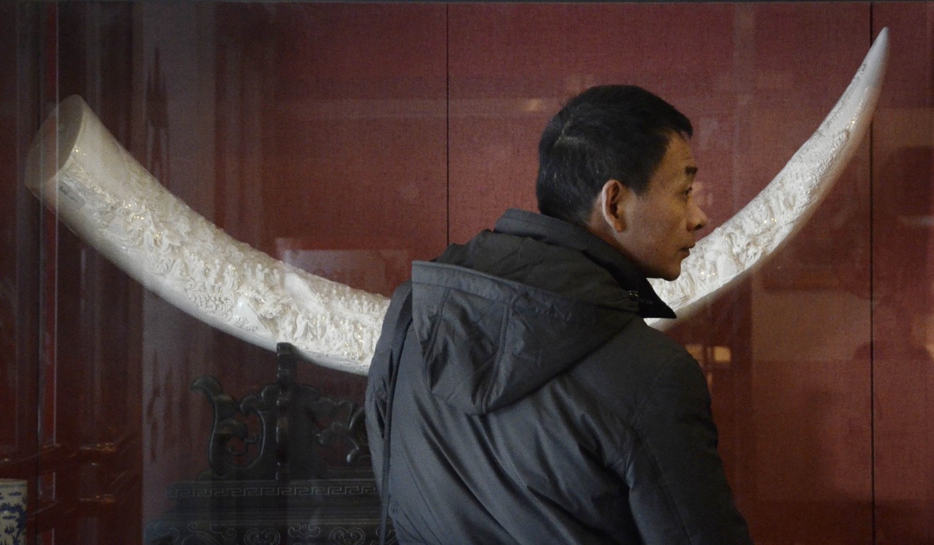 All China’s accredited ivory stores will have to close by the end of the year. Photo: AFP