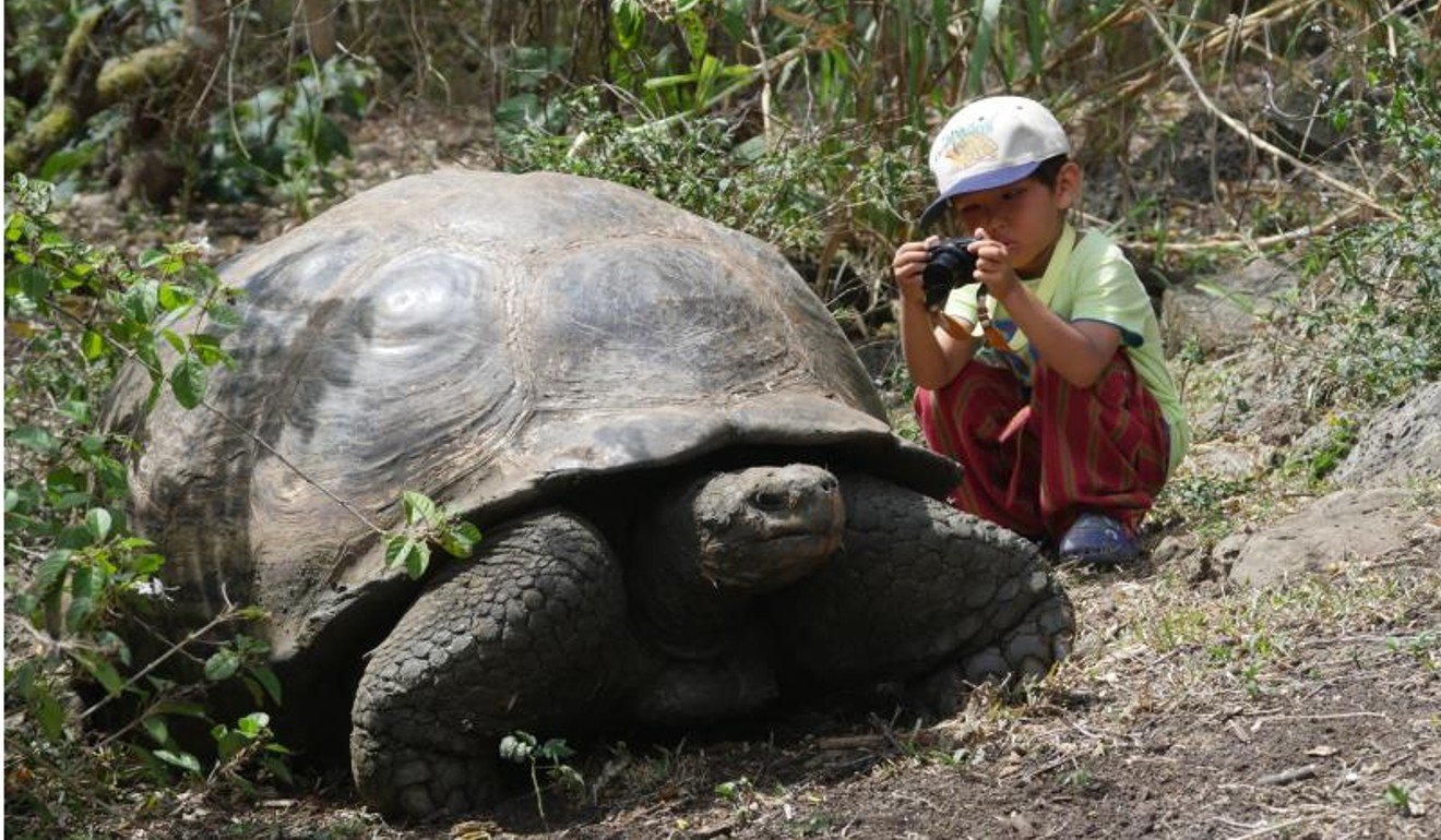 Simba photographs a giant tortoise in South America. Photo: Xu Chenghua