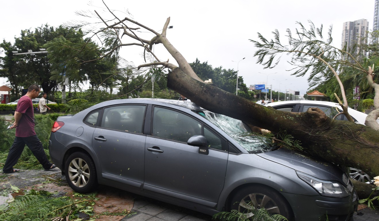 A car is damaged by a fallen tree in Zhuhai, south China's Guangdong Province in August during Hato, the 13th typhoon to hit China this year. Photo: Xinhau