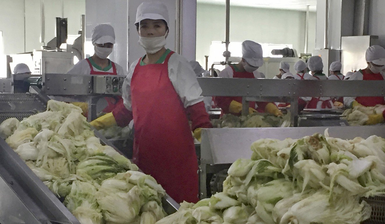 Workers prepare kimchi on the production line at the Ryugyong kimchi factory. Photo: AP