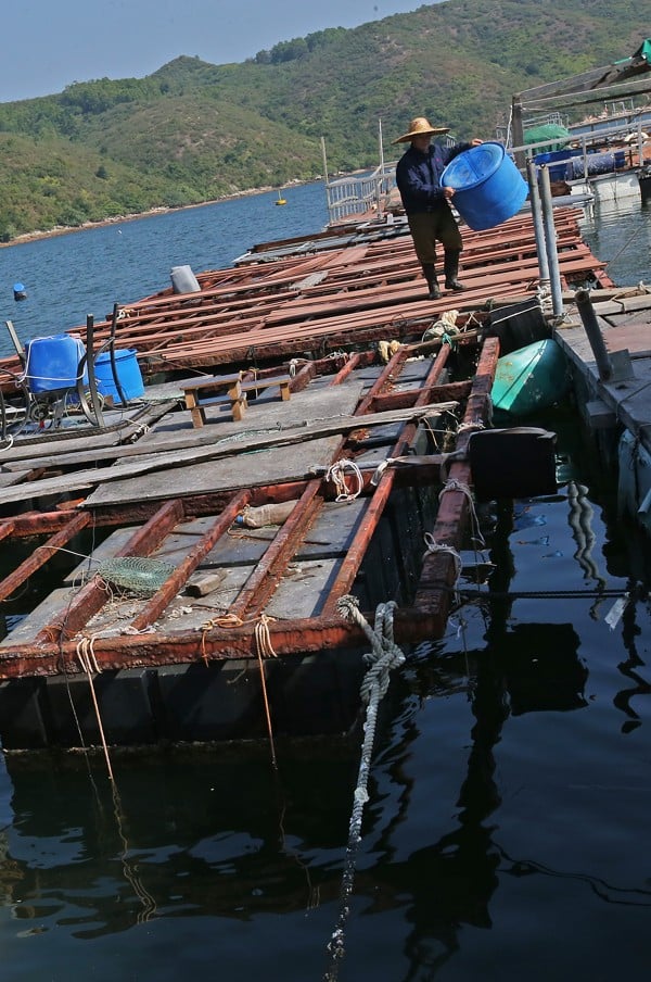 The oyster raft near Tai Po. Picture: David Wong
