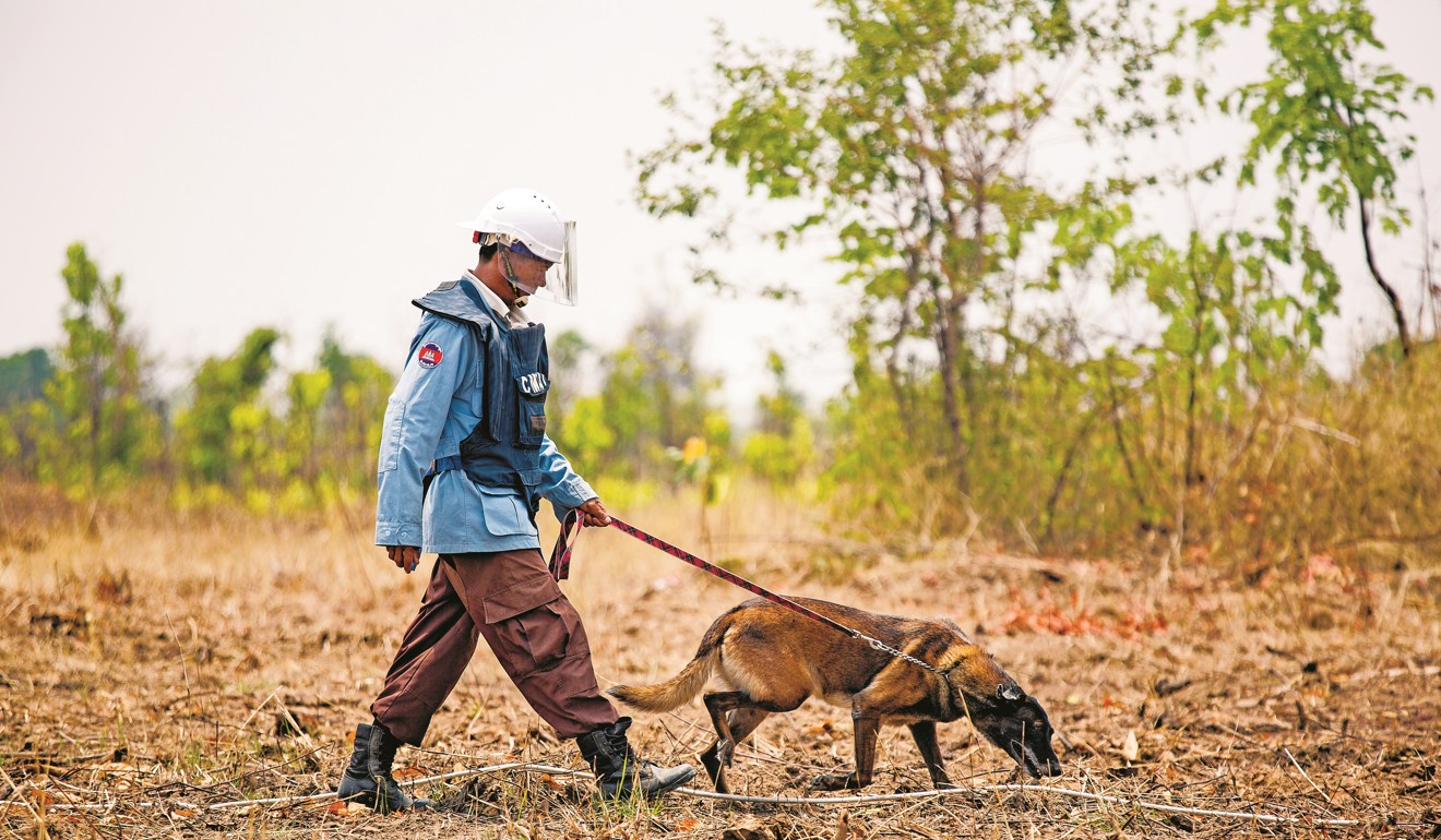 A CMAC de-mining unit clearing landmine-infested grounds in the Cambodian province of Battambang. Photo: Enric Catala