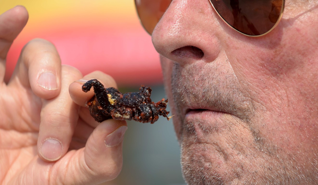 A tourist eating a fried tarantula at Skun. Photo: AFP