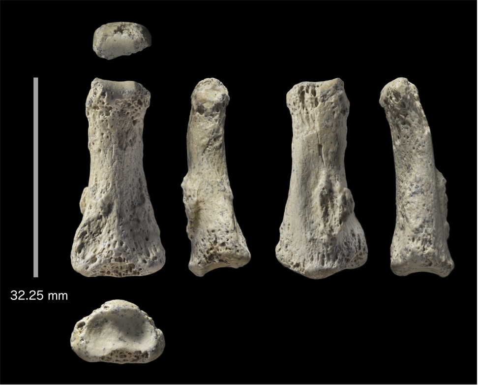 This photo provided by Michael Petraglia shows six different views of a Homo sapiens fossil finger bone from the Al Wusta archaeological site in Saudi Arabia. In a report released on April 9, 2018, researchers say the bone provides a new clue about when and how our species migrated out of Africa, with hunter-gatherers reaching the Saudi Arabia area by 85,000 years ago. Photo: Ian Cartwright/Michael Petraglia via AP
