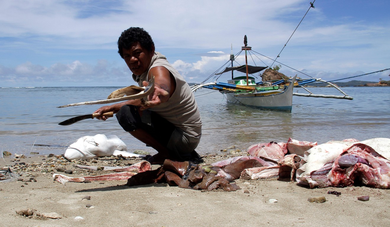 A fisherman cuts up the body of a shark caught in the waters off North Sulawesi, Indonesia. Photo: Alamy