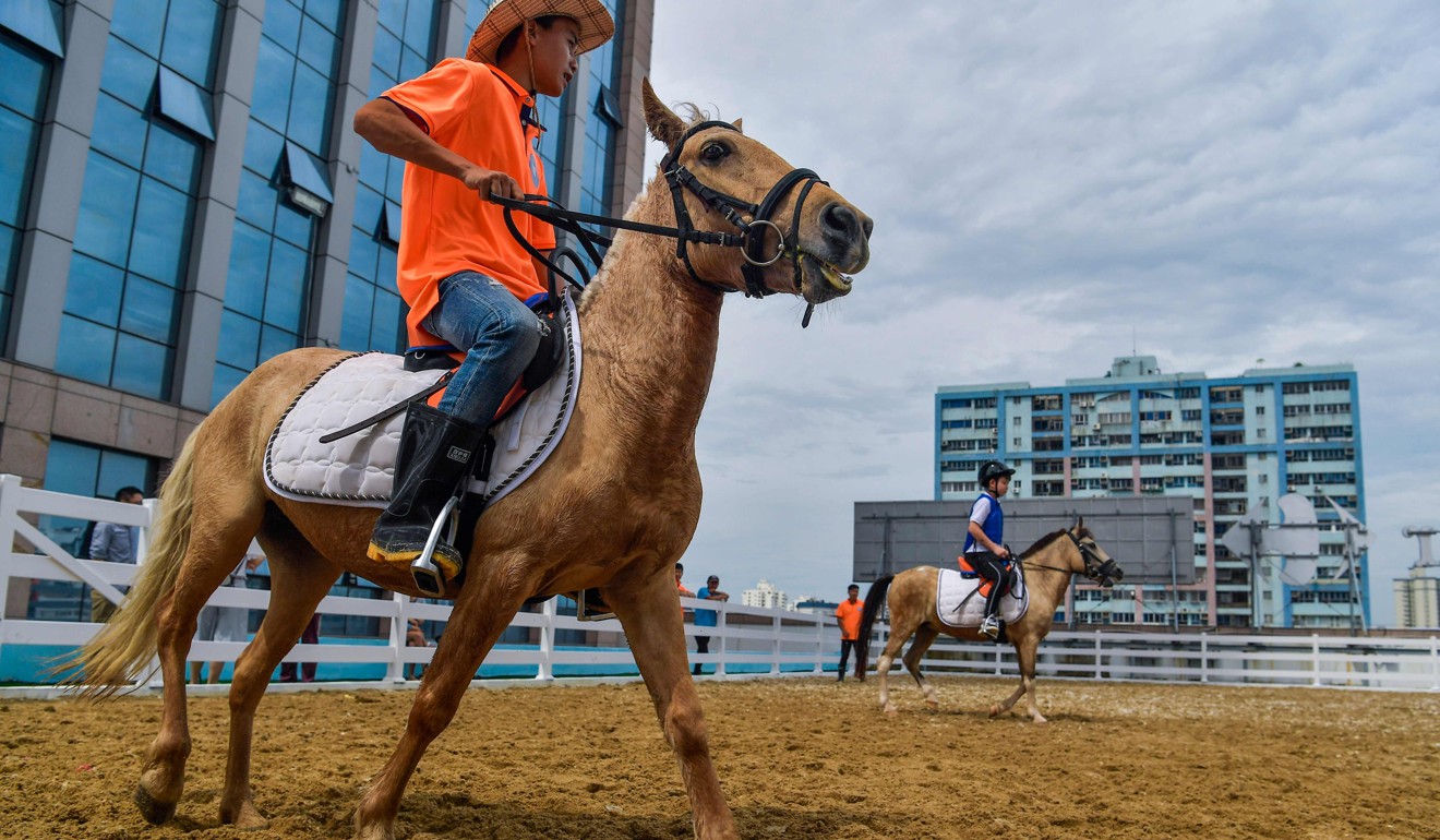 Riders take part in a class in Haikou, Hainan. China is encouraging Hainan to develop horse racing and introduce other reforms as Beijing pushes the tropical tourism destination as a beacon of openness. Photo: AFP