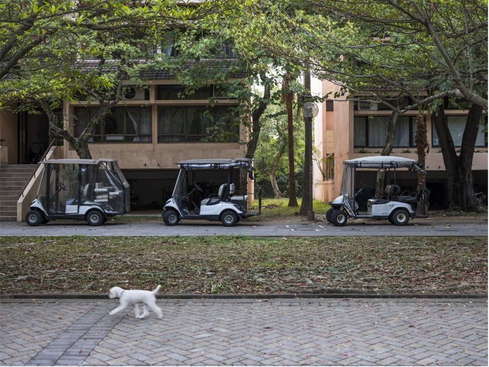 A dog walks past golf carts in front of residential buildings. Photo: Justin Chin/Bloomberg