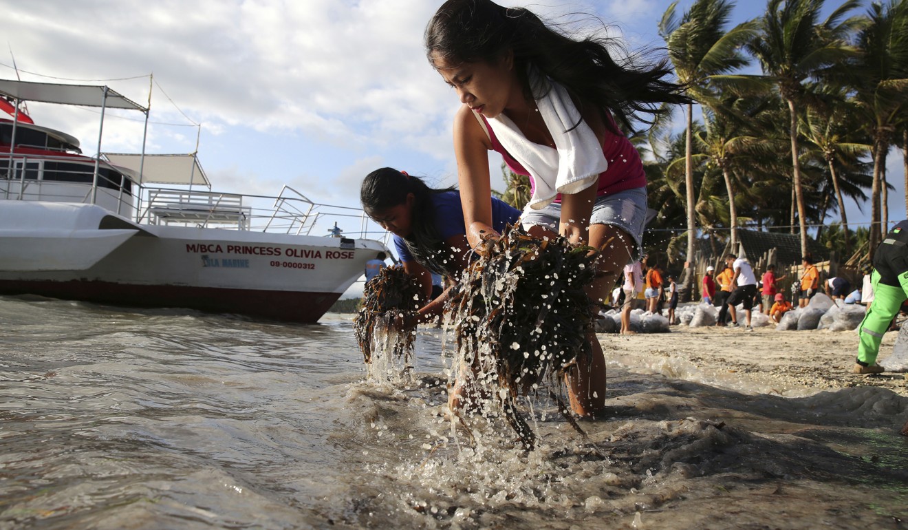 Residents collect seaweed during a clean up of a beach on Boracay on April 26, 2018. Photo: AP