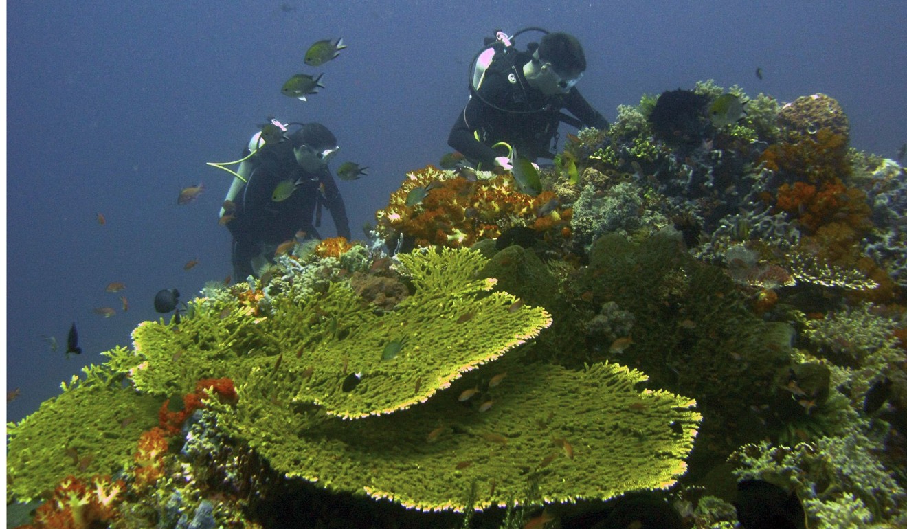 Divers explore a coral reef near Komodo island, Indonesia. Southeast Asia's biologically diverse coral reefs will disappear by the end of this century, wiping out coastal economies and sparking civil unrest if climate change isn't addressed, conservation group WWF has warned. Photo: Reuters