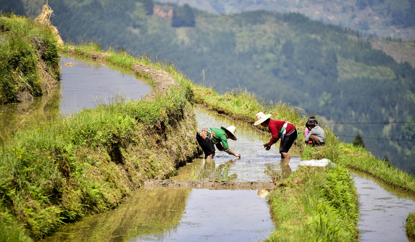 Guizhou, one of China’s poorest provinces, is on the path to prosperity. Photo: Xinhua